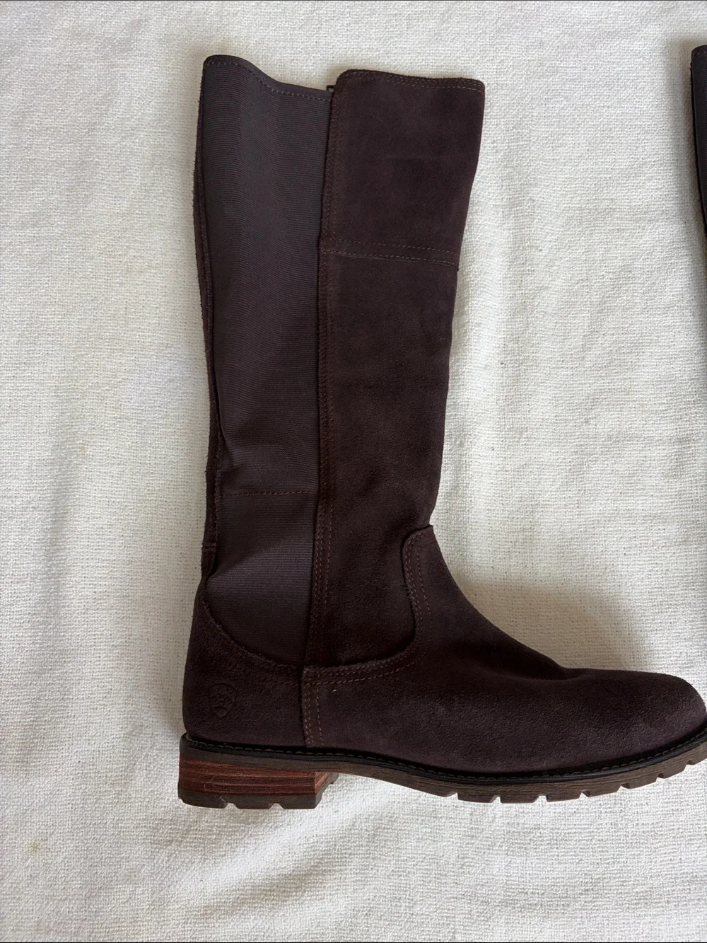 Ariat Dark Brown Suede Over-the-Knee Riding Boots